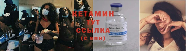 крисы Баксан