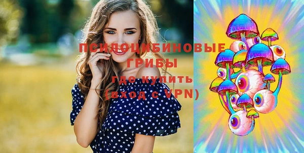 первитин Белокуриха