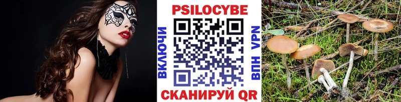 mega ссылки  Нелидово  Галлюциногенные грибы мухоморы 
